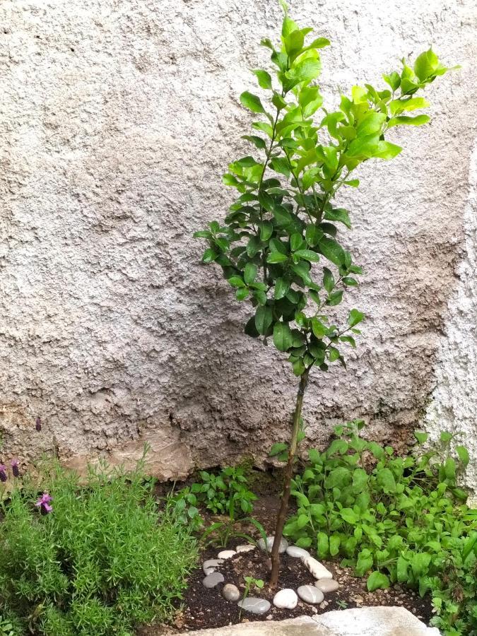 Willa La Loggia 34 Palermo Zewnętrze zdjęcie